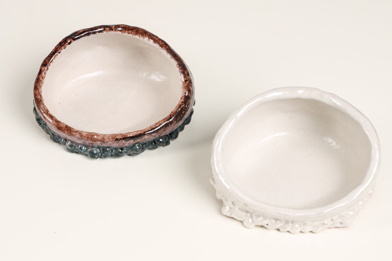 Grotta del Polpo Decorative Plate in Pearl