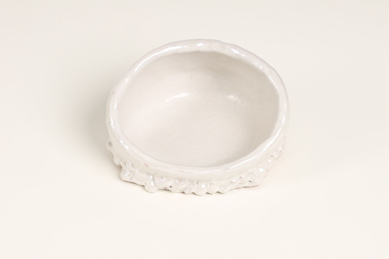 Grotta del Polpo Decorative Plate in Pearl