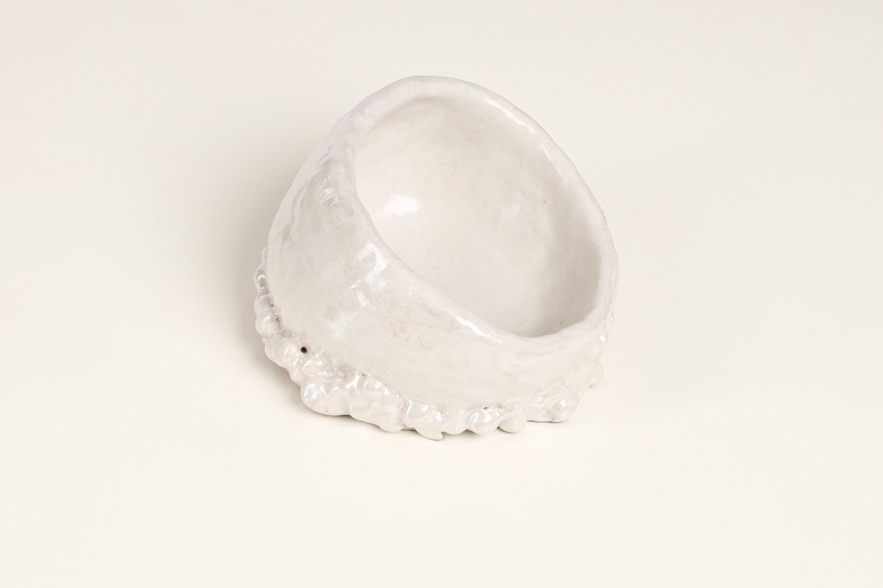 Grotta del Polpo Decorative Plate in Pearl