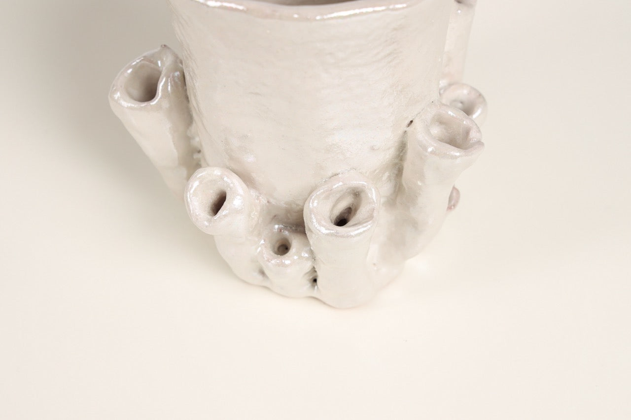 Palmaria Cup in Pearl