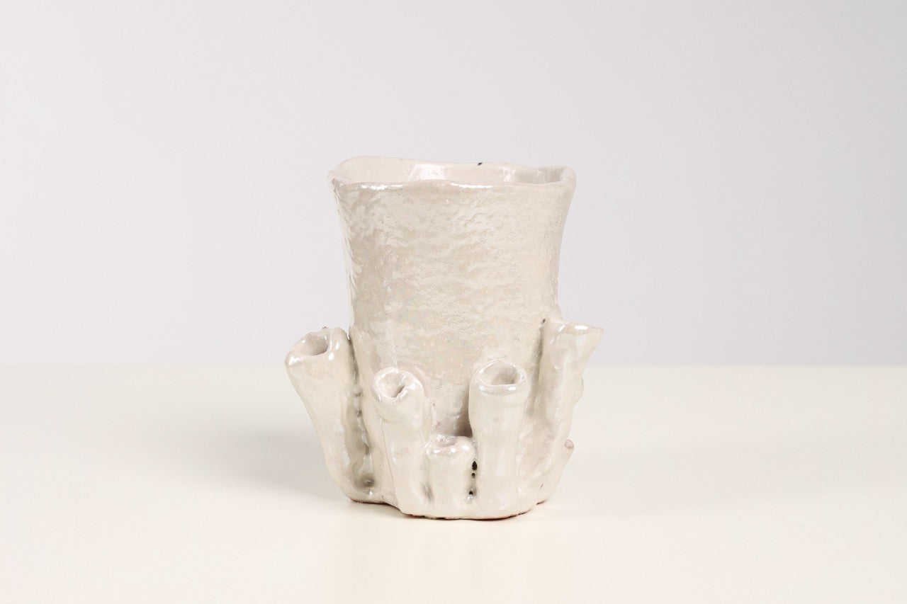 Palmaria Cup in Pearl