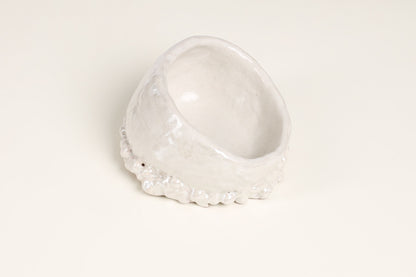 Grotta del Polpo Decorative Plate in Pearl