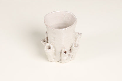 Palmaria Cup in Pearl