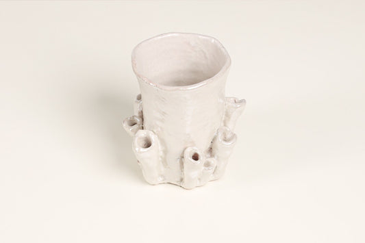 Palmaria Cup in Pearl
