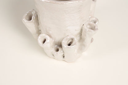 Palmaria Cup in Pearl