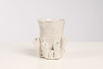 Palmaria Cup in Pearl